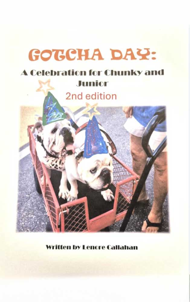 gotcha day book cover